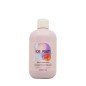 Shampooing Dry-T 300 ml Inebrya