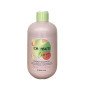 Shampooing Énergisant Energy 300 ML Inebrya