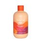 Shampooing Protecteur Couleur Color Perfect 300 ml Inebrya