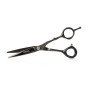 Ciseaux De Coupe Gordon Noir 6.0 Labor Pro